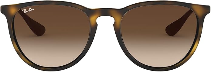 Ray-Ban womens Rb4171 Erika Round Sunglasses