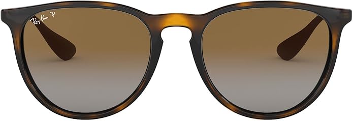 Ray-Ban womens Rb4171 Erika Round Sunglasses