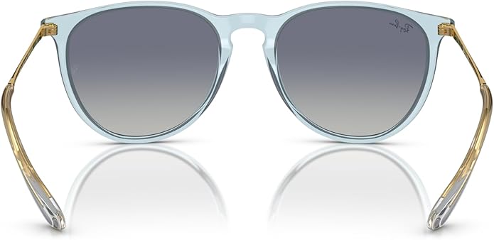Ray-Ban womens Rb4171 Erika Round Sunglasses