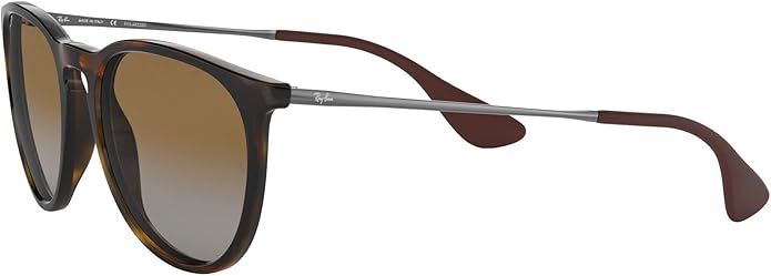 Ray-Ban womens Rb4171 Erika Round Sunglasses