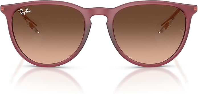 Ray-Ban womens Rb4171 Erika Round Sunglasses
