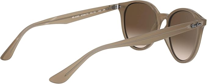 Ray-Ban Unisex Rb4305 Round Sunglasses