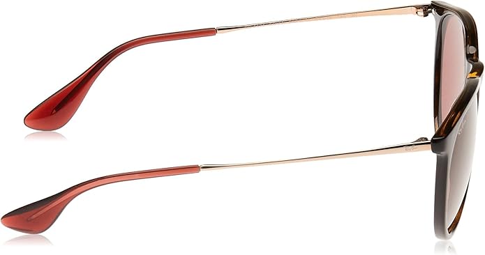 Ray-Ban womens Rb4171 Erika Round Sunglasses