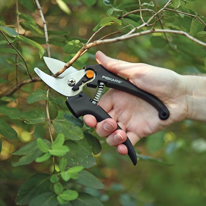 Fiskars Stainless Steel Bypass Fashion Pruner, Black [379200-1005 FSKSHR]