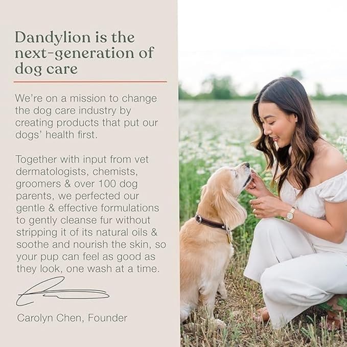 Dandylion Daily Grooming Kit - Clean Paws + Fresh Coat Bundle – No‑Rinse Paw Cleaner & Waterless Coat Spray