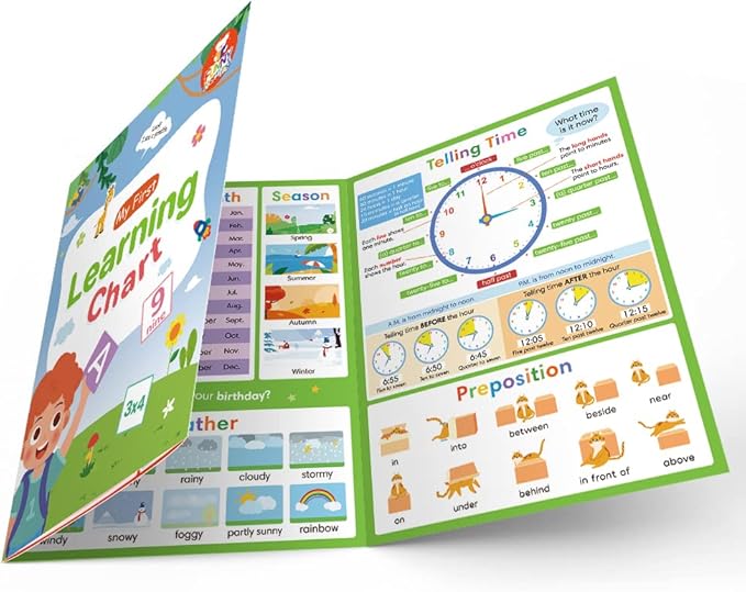 Lachilly My First Learning Chart 22 Themes English Words Learning Sheet Educational Poster Vocabulary Building Teacher Teaching Aids for Pre-Kindergarten