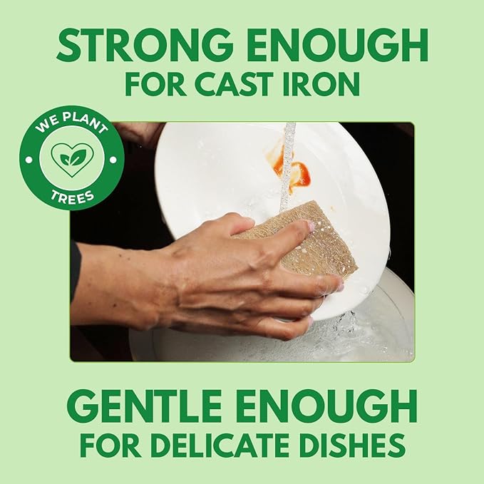 Natural Kitchen Sponges Pack of 20 - Biodegradable Cellulose and Coconut Husk Walnut Scrubbers - Odor Free Non Scratch - Eco Friendly Quick Drying Dishwashing Sponges