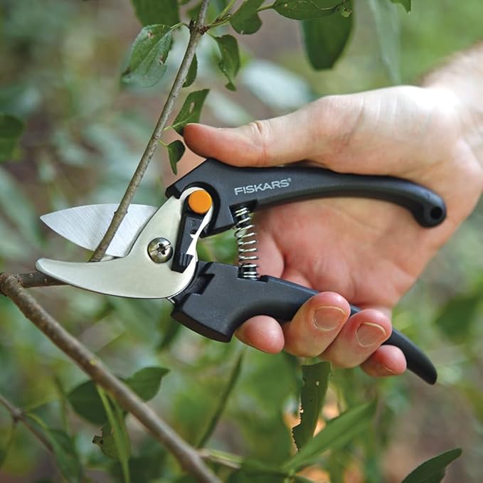 Fiskars Stainless Steel Bypass Fashion Pruner, Black [379200-1005 FSKSHR]