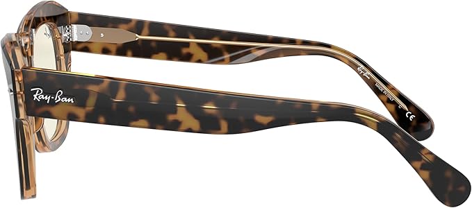 Ray-Ban Unisex Rb2186 State Street Square Sunglasses