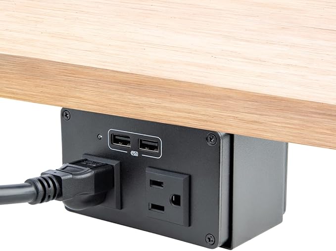StarTech.com Power Outlet Module for Conference Table Connectivity Box - 2X AC Power and 2X USB-A - Power and Charging Hub (MOD4POWERNA)