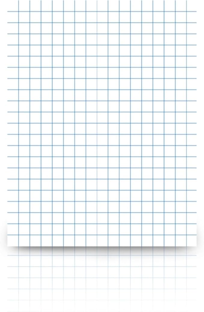 School Smart Graph Paper, 1/4 Inch Rule, 9 x 12 Inches, White, Pack of 500
