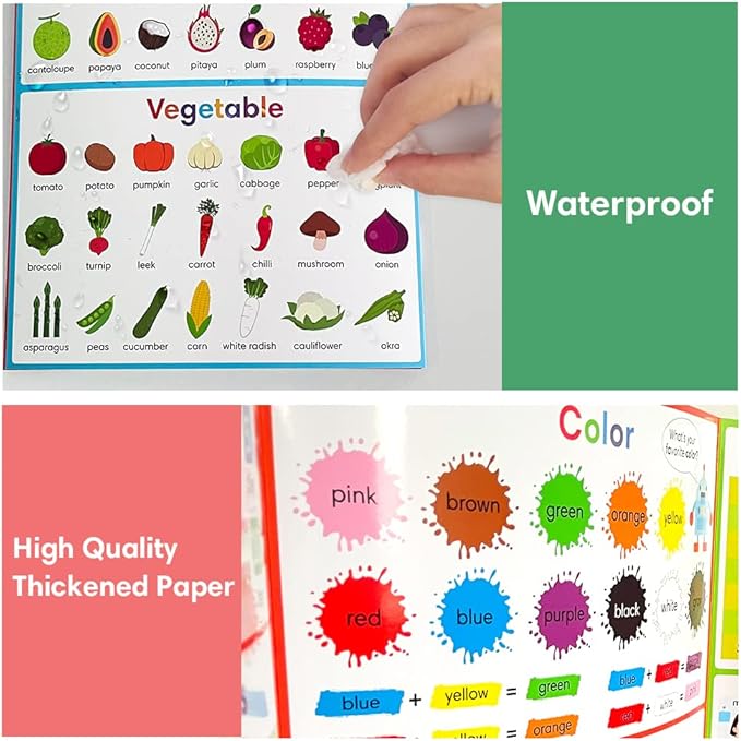 Lachilly My First Learning Chart 22 Themes English Words Learning Sheet Educational Poster Vocabulary Building Teacher Teaching Aids for Pre-Kindergarten