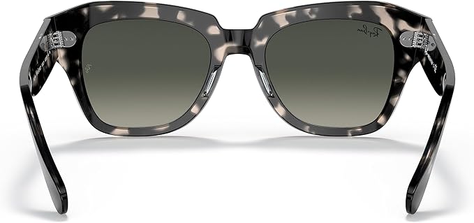 Ray-Ban Unisex Rb2186 State Street Square Sunglasses