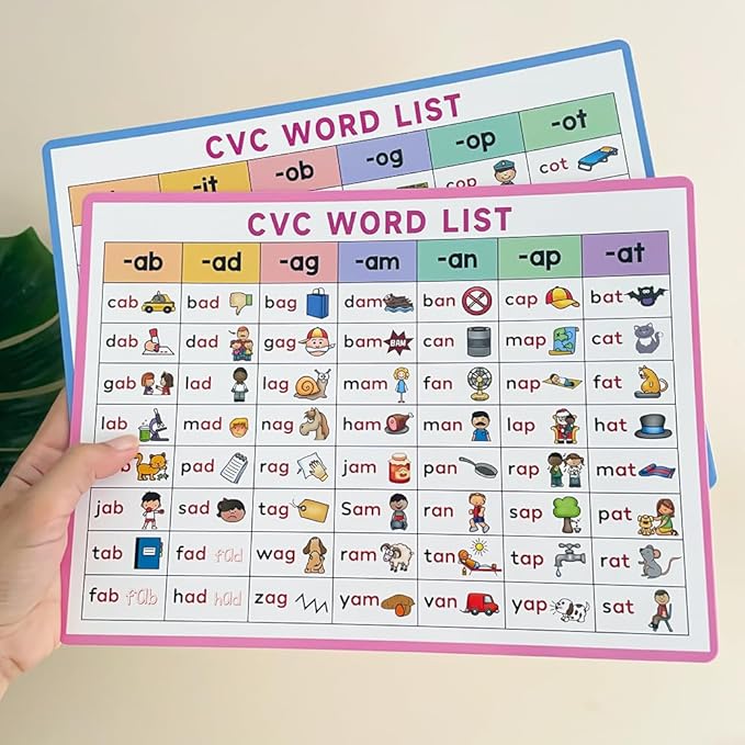 Lachilly Montessori CVC Words Games with Word Lists Sheets, Speech Therapy Toys for Toddlers Kids, Kindergarten Teacher Teaching Aids, CVC Flash Cards Phonics Reading Activities