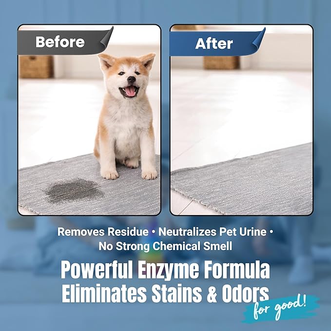 Carpet Cleaner and Deodorizer for Pets - Stain and Odor Treatment | Neutralizes Urine Stains and Eliminates Smell & Residue, Made in The USA - Biocelan Pet by Harvest and Home - 16oz