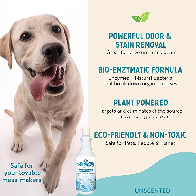 Wee Away Original Formula Concentrated Stain & Odor Remover, Enzyme Cleaner, Pet Urine Odor Eliminator for Home - Pet Mess Destroyer for Carpet & Furniture, Unscented, 32 fl oz