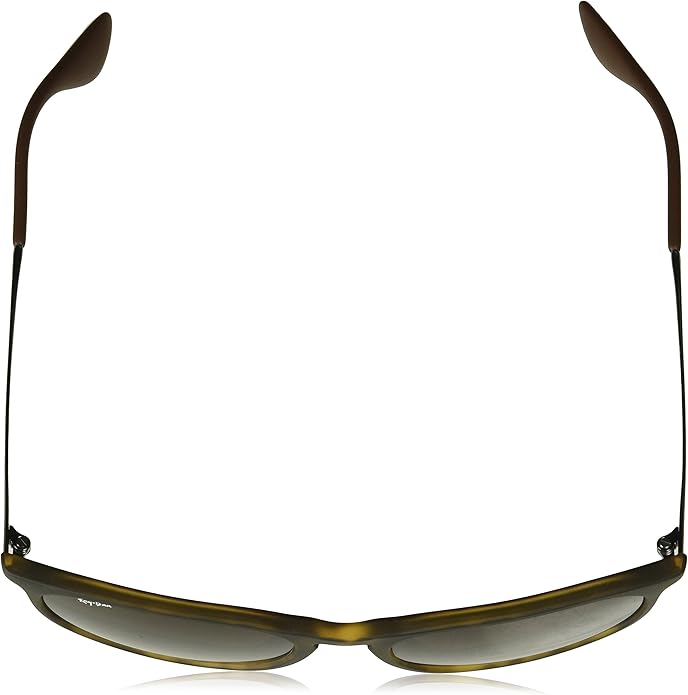 Ray-Ban womens Rb4171 Erika Round Sunglasses