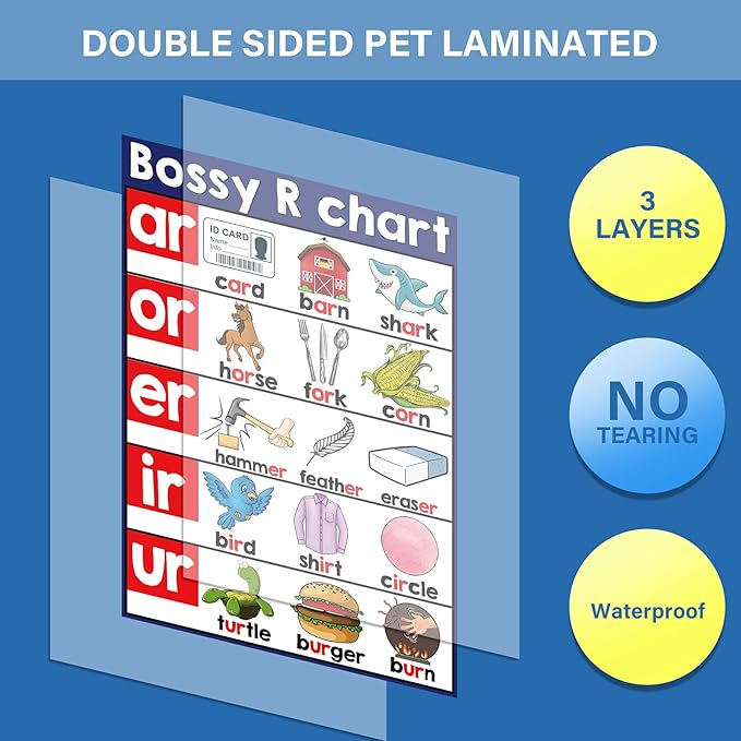 Yisong 13 Pcs English Phonics Poster Language Charts Learning Vowels Posters Alphabet Bulletin Board Set Wall Decoration (16 x 11 Inch)