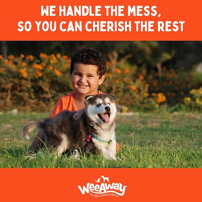 Wee Away Original Formula Concentrated Stain & Odor Remover, Enzyme Cleaner, Pet Urine Odor Eliminator for Home - Pet Mess Destroyer for Carpet & Furniture, Original Citrus Scent, 32 fl oz