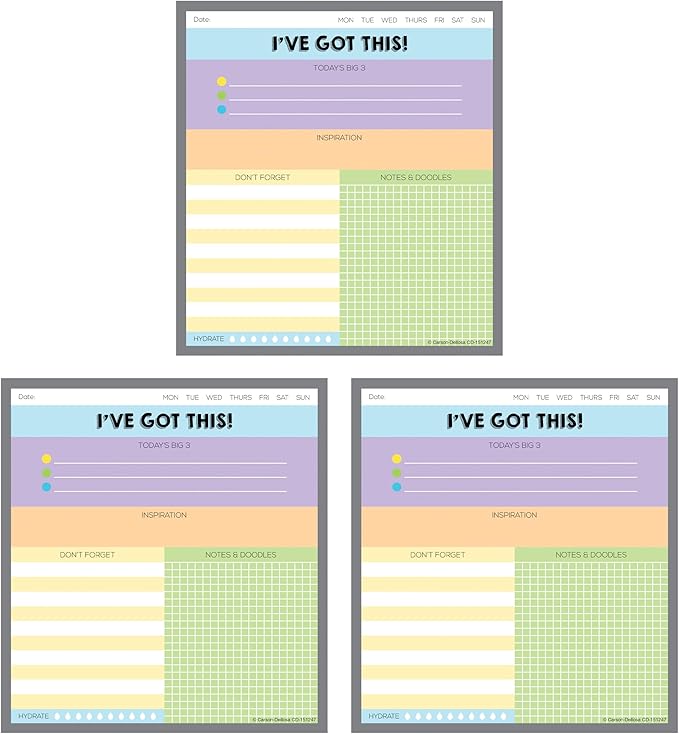 Carson Dellosa I've Got This Notepad 3-Pack Set, Note Pads for To Do List, Goals, Sketch Pad, Checklist, and Classroom Organization Stationary, Desk Accessories and Office Supplies