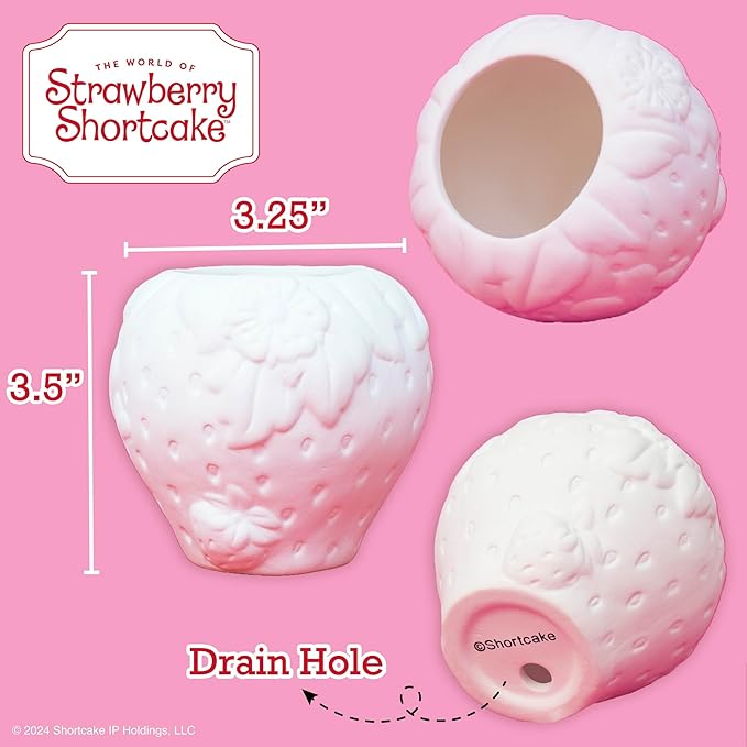 Paint Your Own Strawberry Shortcake Planter, 5 Paints & Paintbrush Included, Ceramics to Paint, Gifts for 10 Year Old Girls, Strawberry Room Decor, Kids Craft Kits, Arts & Crafts, Cute Planters