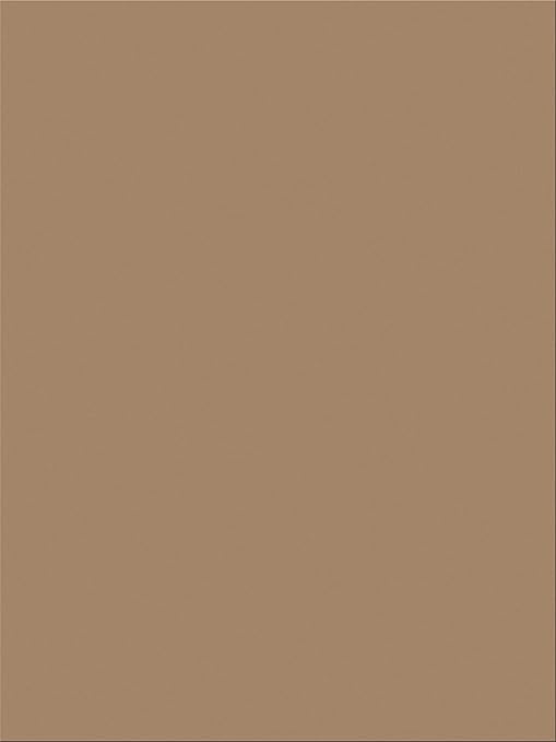 Prang (Formerly SunWorks) Construction Paper, Light Brown, 9" x 12", 100 Sheets