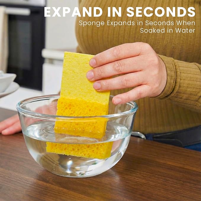 Kitchen Sponges, 24 Count, Compressed Natural Cellulose Sponges, Non-Scratch for Dishes, DIY Fun, Biodegradable & Compostable