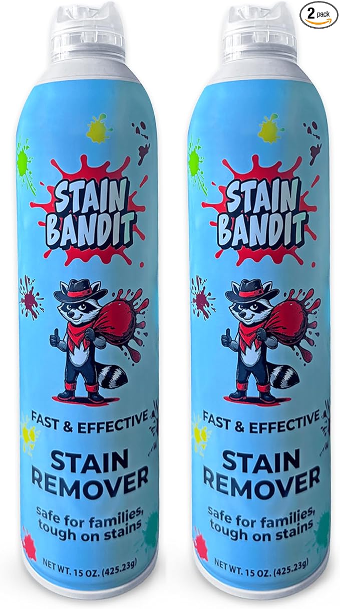 Stain Remover Spray - Non-Toxic, Family Safe Formula - Bag-On-Valve 360 Continuous Spray - Powerful Natural Cleaner for Clothes, Upholstery, Carpet, Car Seats & More - 15 oz (Pack of 2)