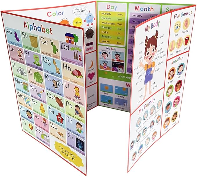 Lachilly My First Learning Chart 22 Themes English Words Learning Sheet Educational Poster Vocabulary Building Teacher Teaching Aids for Pre-Kindergarten