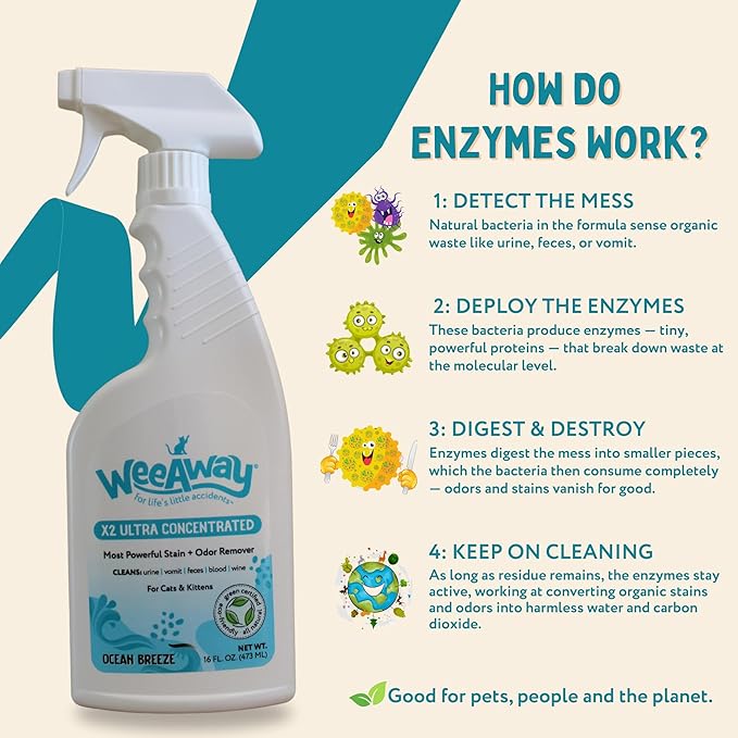 Wee Away X2 Ultra-Concentrated Stain & Strong Odor Eliminator, Enzyme Cleaner, Pet Odor Eliminator for Home - Cat & Kitten Urine Destroyer - Carpet Cleaner Spray, Ocean Breeze, 16 fl oz