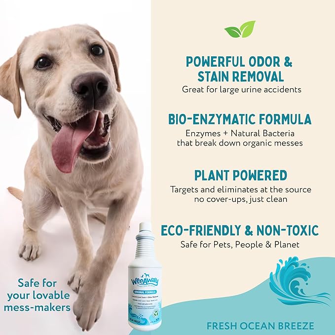 Wee Away Original Formula Concentrated Stain & Odor Remover, Enzyme Cleaner, Pet Urine Odor Eliminator for Home - Pet Mess Destroyer for Carpet & Furniture, Ocean Breeze Scent, 32 fl oz