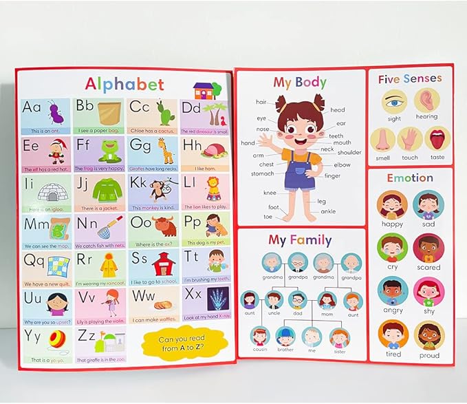 Lachilly My First Learning Chart 22 Themes English Words Learning Sheet Educational Poster Vocabulary Building Teacher Teaching Aids for Pre-Kindergarten