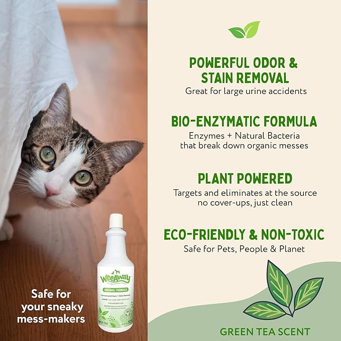 Wee Away Original Formula Concentrated Stain & Odor Remover, Enzyme Cleaner, Pet Urine Odor Eliminator for Home - Pet Mess Destroyer for Carpet & Furniture, Green Tea Scent, 32 fl oz