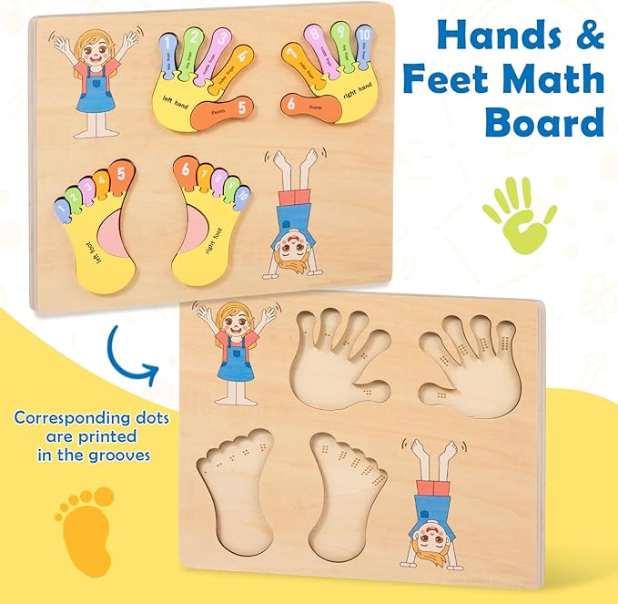 Adena Montessori Number Counting Blocks - Wooden Hands and Feet Shape Toy for Kids, Sorting & Counting Math for Home Classroom, Learn Numbers & Left and Right with Safe Wooden Blocks for Toddlers 3-4