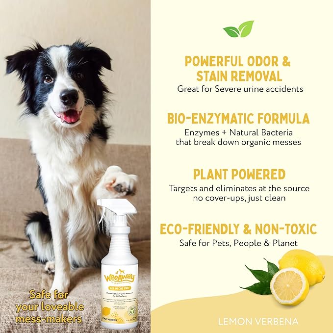 Wee Away All in One Pro Stain & Odor Remover, Enzyme Cleaner, Pet Urine Odor Eliminator for Home - Pet Mess Destroyer for Carpet & Furniture, Lemon Verbena Scent, 32 fl oz
