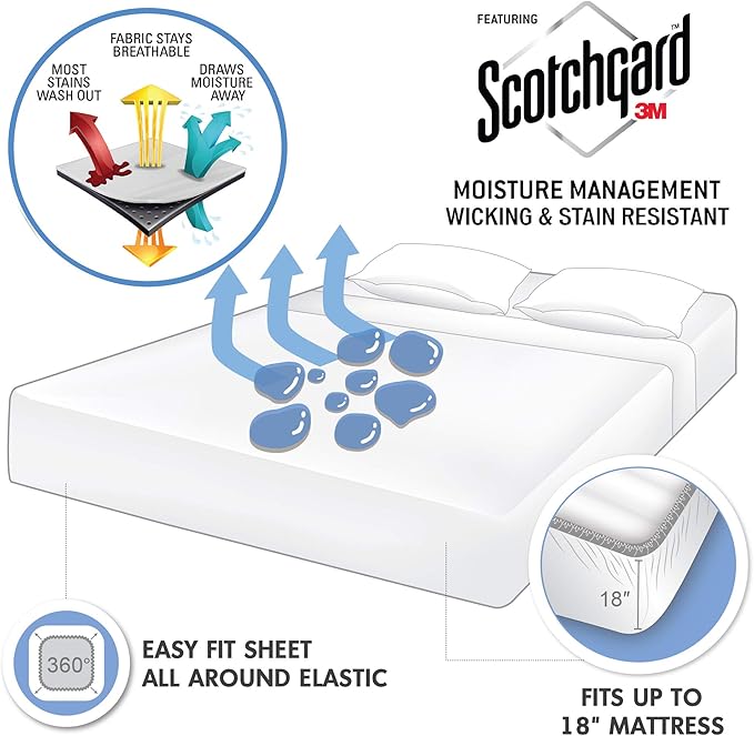 Madison Park 3M Microcell Color Fast, Wrinkle and Stain Resistant, Soft Sheets with 16" Deep Pocket All Season, Cozy Bedding-Set, Matching Pillow Case, Twin XL, Seafoam (MP20-2444)