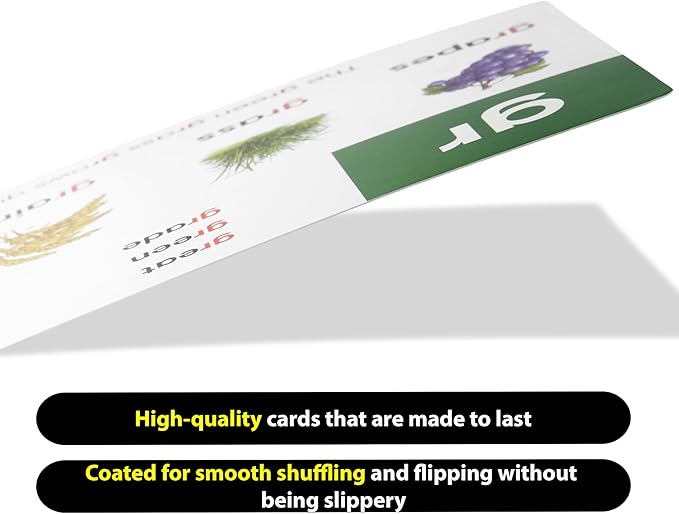 Award-Winning Learn to Read Flash Card Bundle – 1600+ Words: Sight Words, Phonics, Prefixes & Suffixes – 36 Games, 36 Tips, 2 Dice – Pre-K to 3rd Grade