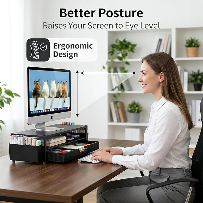 Desk Organizer and Accessories, 2-Tier Computer Monitor Stand Rise with Storage Drawer & 2 Pen Holders, Laptop & Printer Stand for Desktop, Workspace Organizers for Office Supplies (Black)