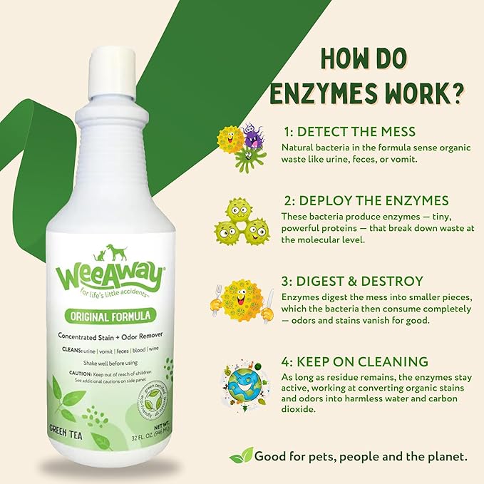 Wee Away Original Formula Concentrated Stain & Odor Remover, Enzyme Cleaner, Pet Urine Odor Eliminator for Home - Pet Mess Destroyer for Carpet & Furniture, Green Tea Scent, 32 fl oz