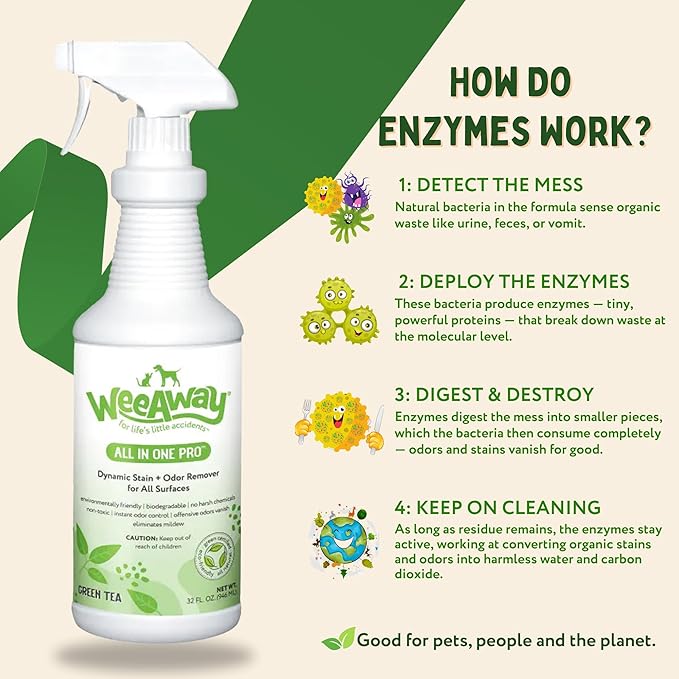 Wee Away All in One Pro Stain & Odor Remover, Enzyme Cleaner, Pet Urine Odor Eliminator for Home - Pet Mess Destroyer for Carpet & Furniture, Green Tea Scent, 32 fl oz