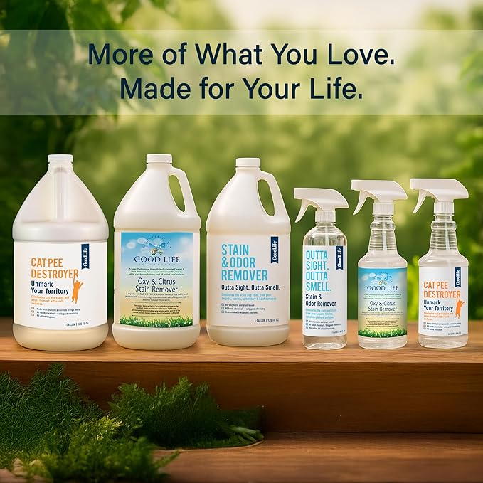 Natural Odor and Stain Remover Spray - Unscented Plant-Based Child & Pet Safe Cleaner Earth-Friendly Odor Eliminator Eco Cleaning Products for Home, Carpet (1 Pack, 1 Gallon)