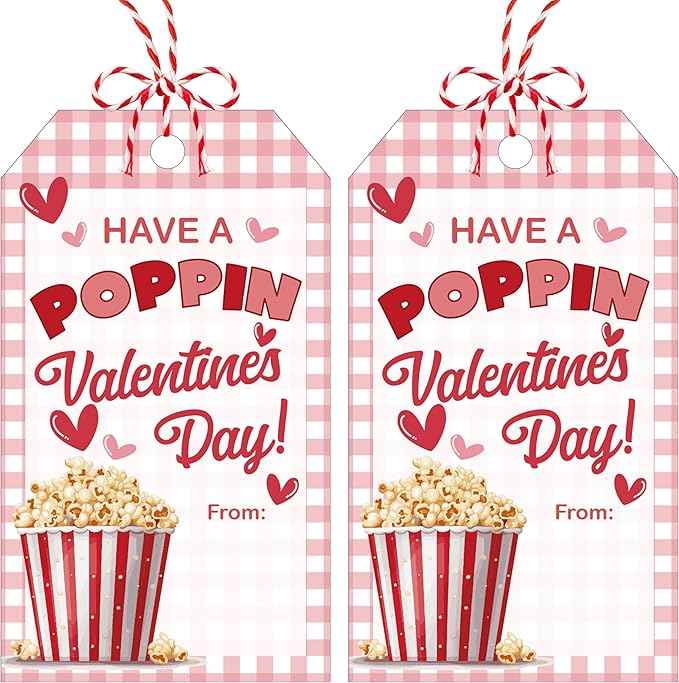 Have A Poppin Valentines Day Sticker Label, 50 Pcs Valentine Gift Tags with String, Gift Tag Paper Tags Labels Idea Valentines Activity School Classroom Party Favors-Pink Plaid