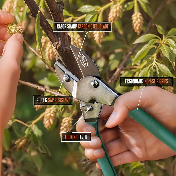 Scotts 2-Piece Pruning Shears Set – Includes 8 in. Bypass Pruner for Live Plants and 8 in. Anvil Pruner for Dry Stems – Sharp Carbon Steel Blades and Comfort Grip Handles for Garden and Yard Use
