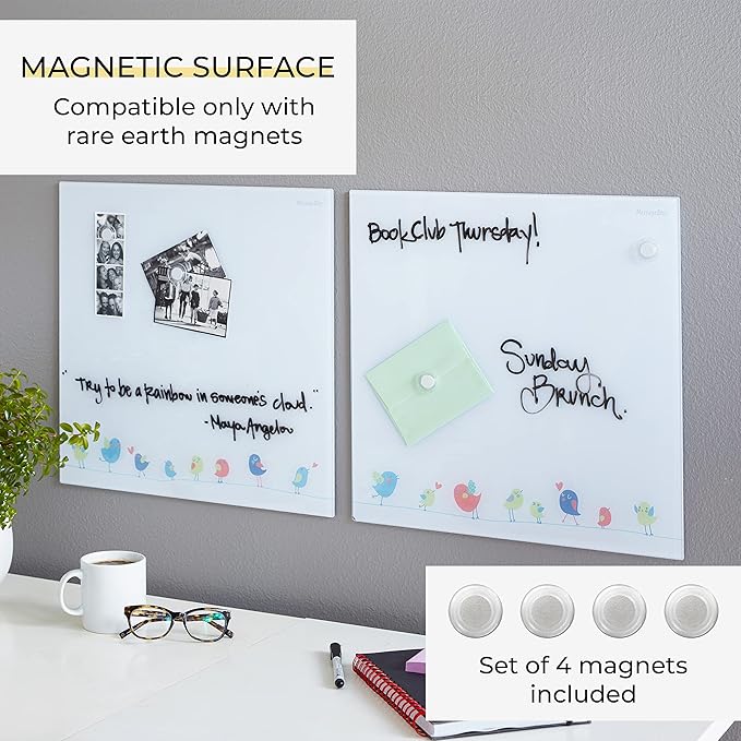 ECR4Kids MessageStor Magnetic Dry-Erase Glass Board with Magnets, 17.5in x 17.5in, Wall-Mounted Whiteboard, Birds, 2-Pack