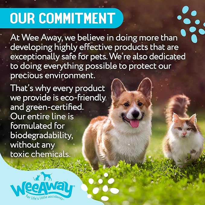 Wee Away X2 Ultra-Concentrated Stain & Strong Odor Eliminator, Enzyme Cleaner, Pet Odor Eliminator for Home - Cat & Kitten Urine Destroyer - Carpet Cleaner Spray, Ocean Breeze, 16 fl oz