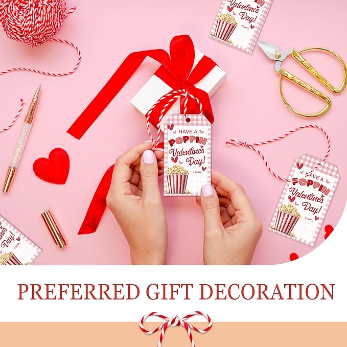 Have A Poppin Valentines Day Sticker Label, 50 Pcs Valentine Gift Tags with String, Gift Tag Paper Tags Labels Idea Valentines Activity School Classroom Party Favors-Pink Plaid