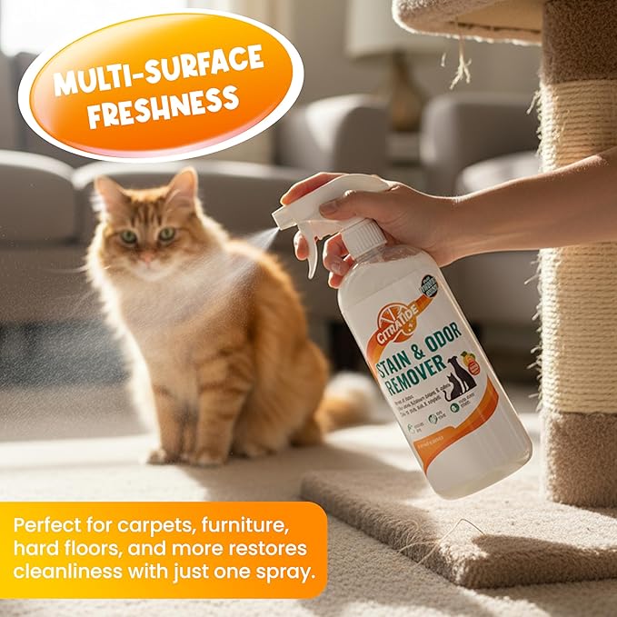 Pet Stain & Odor Remover Spray – Citrus Powered, Non-Toxic, Safe for Pets & Kids, Multi-Surface Cleaner for Carpet, Upholstery, Hardwood & More – USA Made Odor Eliminator