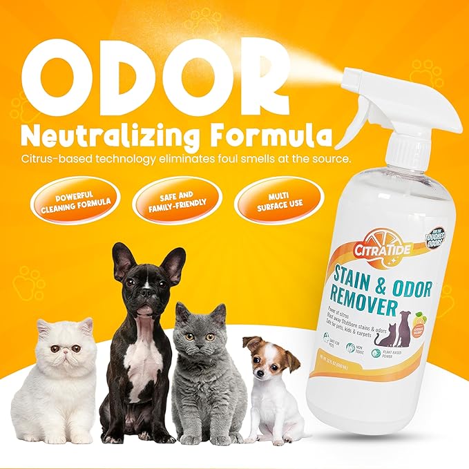 Pet Stain & Odor Remover Spray – Citrus Powered, Non-Toxic, Safe for Pets & Kids, Multi-Surface Cleaner for Carpet, Upholstery, Hardwood & More – USA Made Odor Eliminator