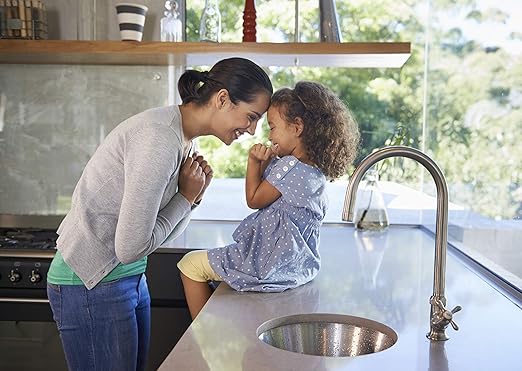 MORE Premium Plus Stone Sealer Protector for Countertops - Natural Stone, Marble, Granite Surfaces - Advanced Formula (Quart / 32oz)