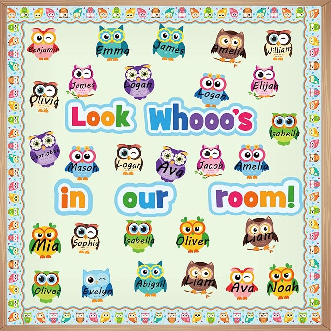 Colorful Owls Bulletin Board Decoration Set Mix Owl Borders Cutouts for Party School Classroom Door Welcome Bulletin Board Craft Home Wall(Look whooos in Our Room)